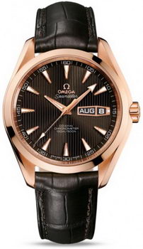 Omega Seamaster Aqua Terra Annual Calendar Watch 158589A