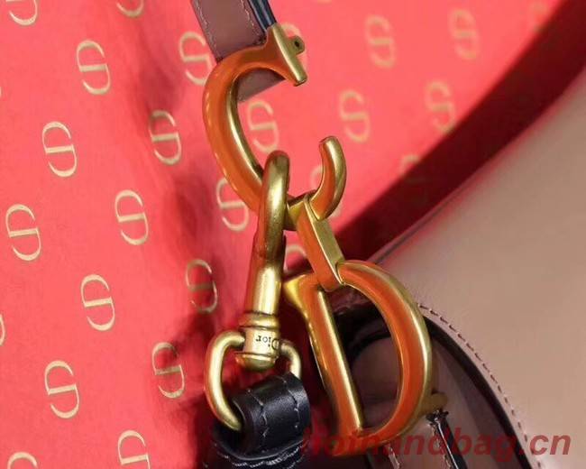 Dior MINI SADDLE BAG CALFSKIN M0447 apricot