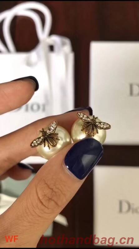 Dior Earrings CE2061