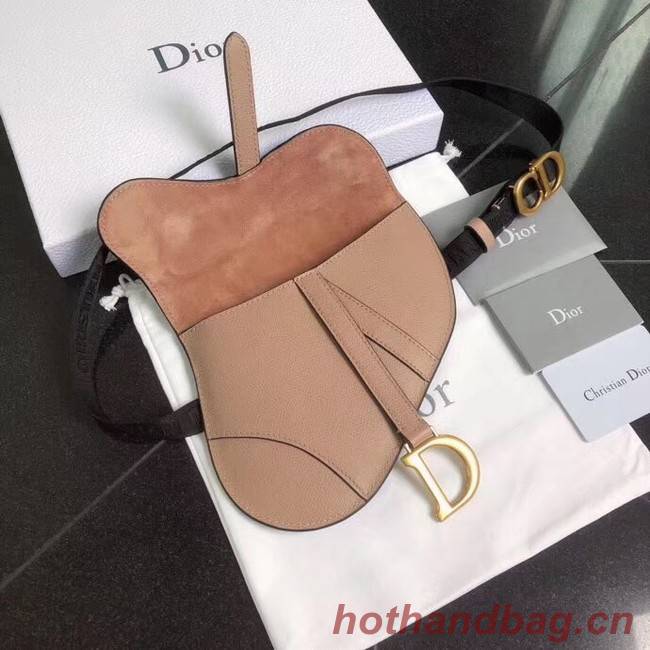 Dior SADDLE-CLUTCH VAN KALFSLEER S5632C pink