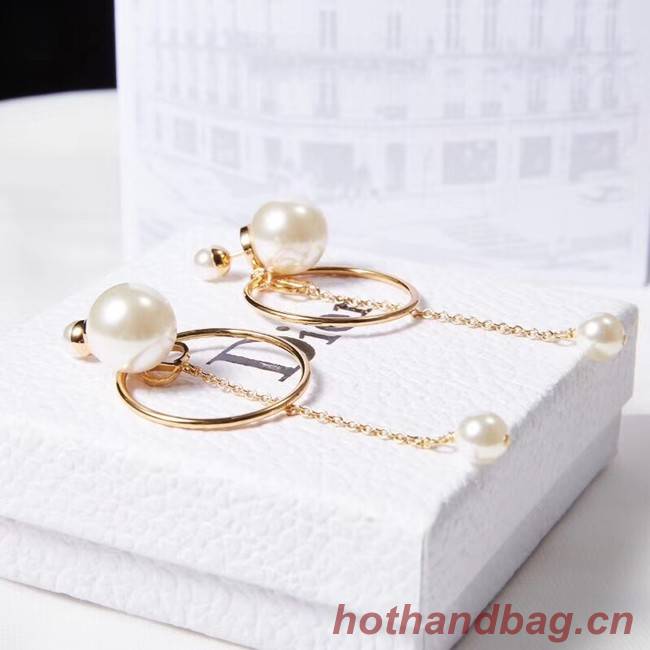 Dior Earrings CE2215