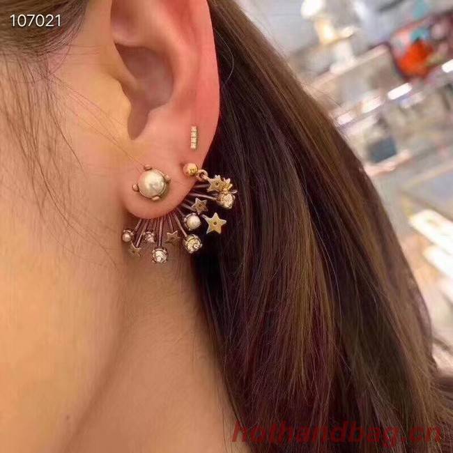 Dior Earrings CE3597