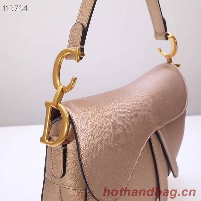 Dior Mini Saddle Bag Calfskin M0447 Gold