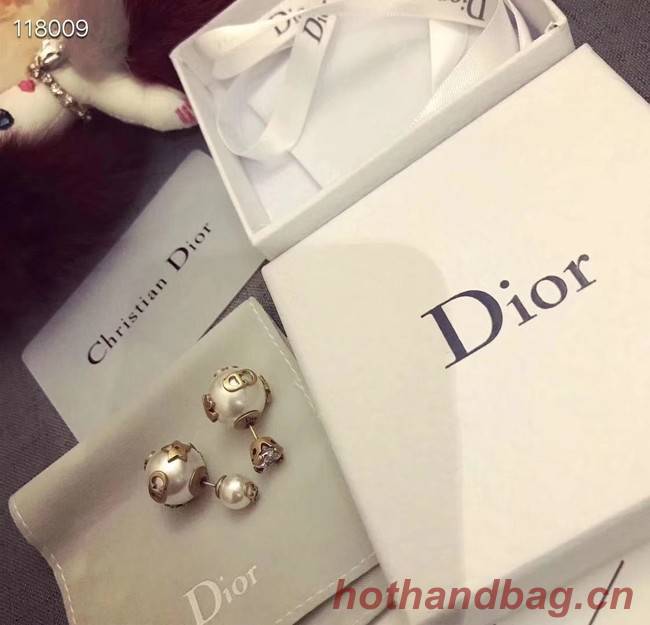 Dior Earrings CE4067