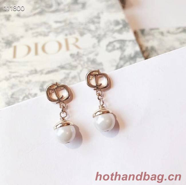 Dior Earrings CE4076