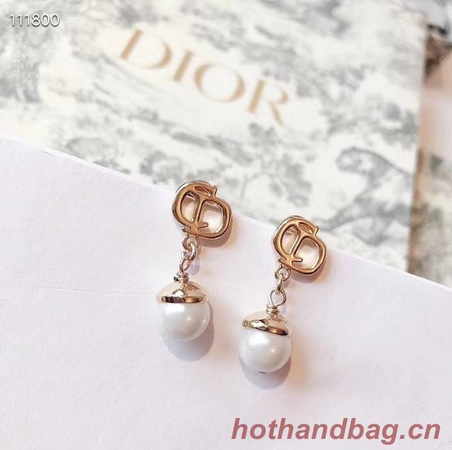 Dior Earrings CE4076