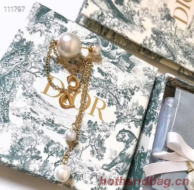 Dior Earrings CE4078