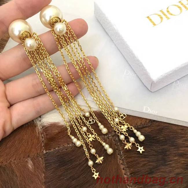 Dior Earrings CE4101