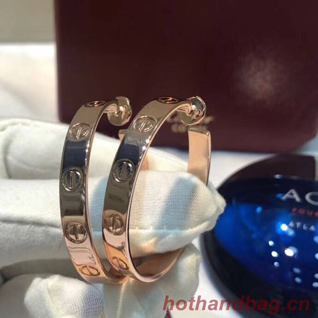 Cartier Earrings CE4141