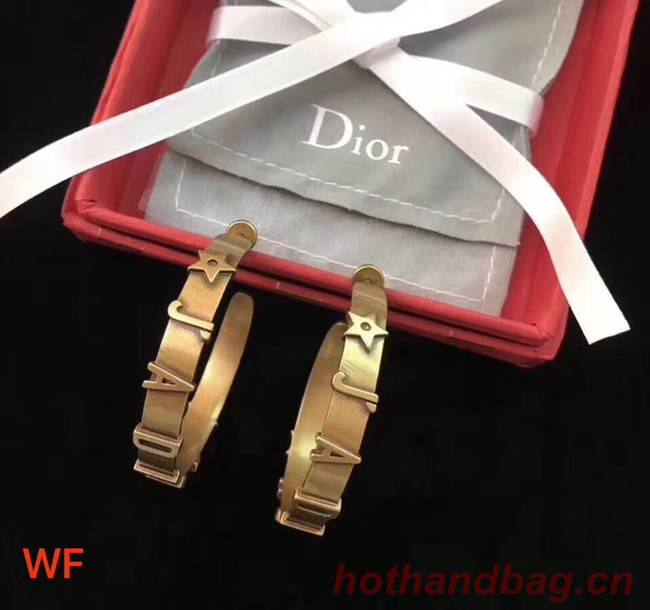 Dior Earrings CE4446