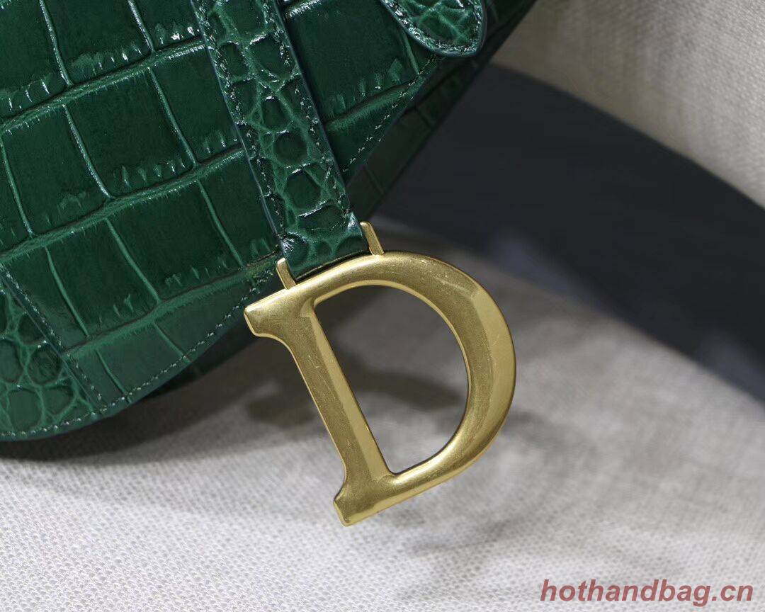 Dior SADDLE SOFT CALFSKIN BAG C9045 green