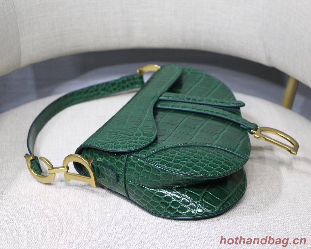 Dior SADDLE SOFT CALFSKIN BAG C9045 green