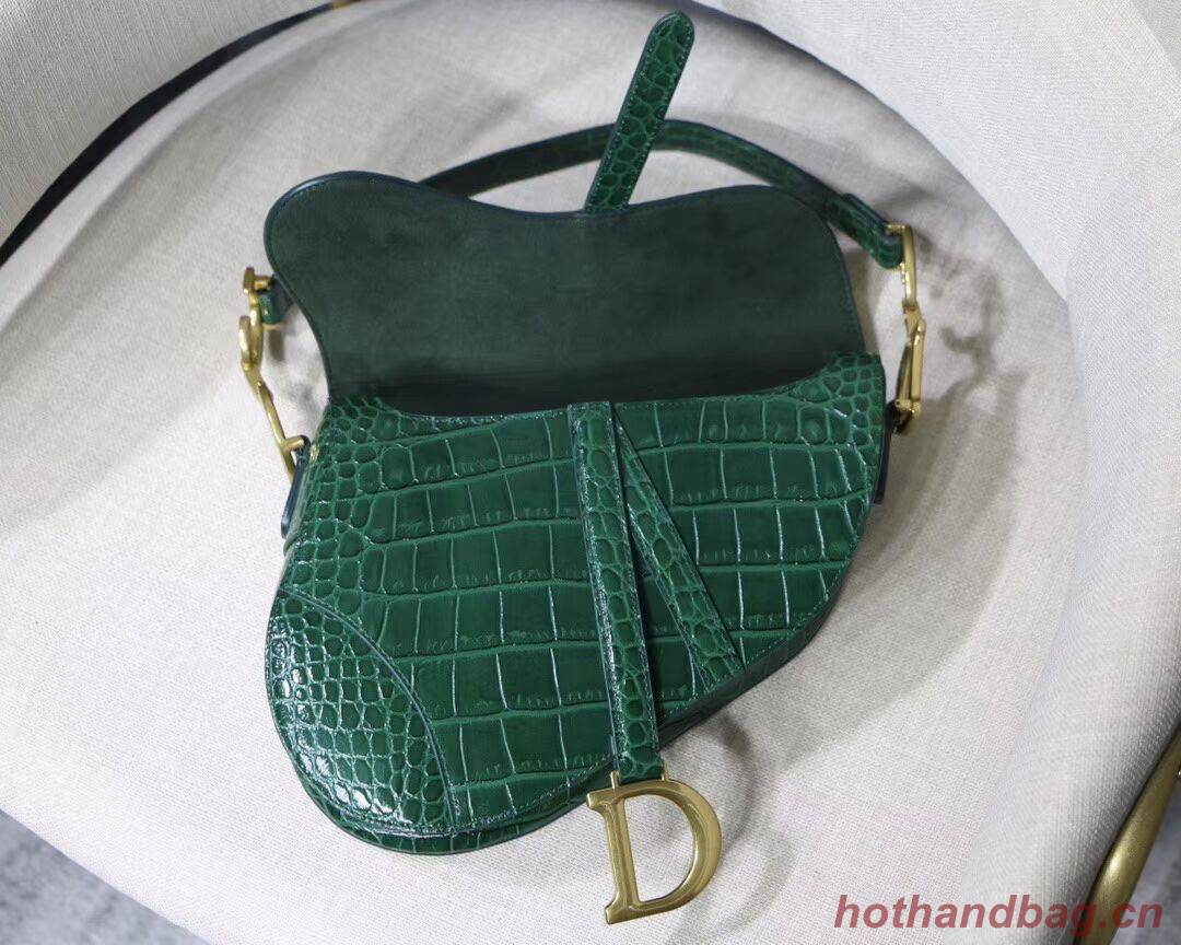 Dior SADDLE SOFT CALFSKIN BAG C9045 green