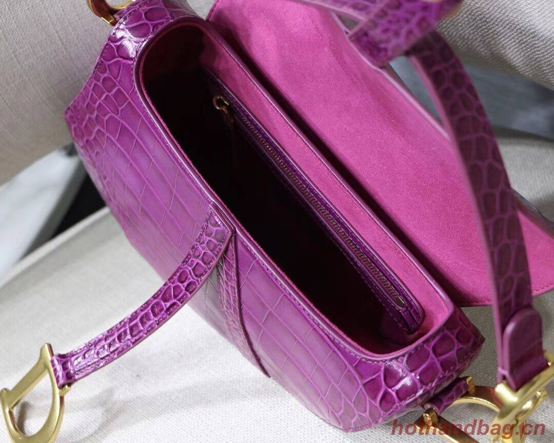 Dior SADDLE SOFT CALFSKIN BAG C9045 purple