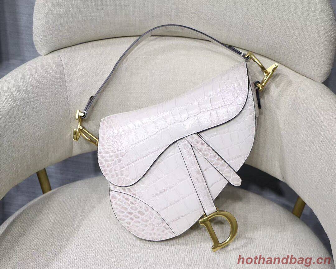 Dior SADDLE SOFT CALFSKIN BAG C9045 white