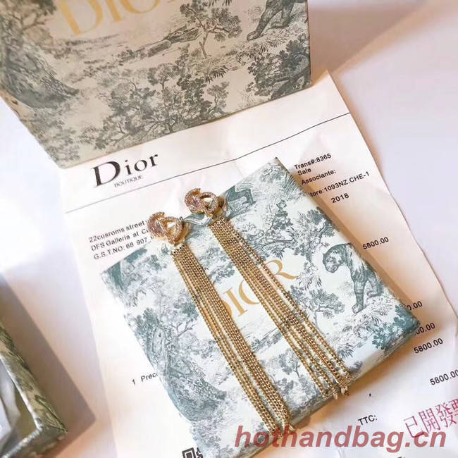 Dior Earrings CE4800