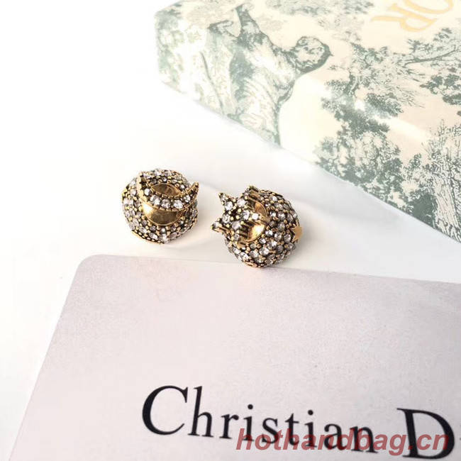 Dior Earrings CE4889