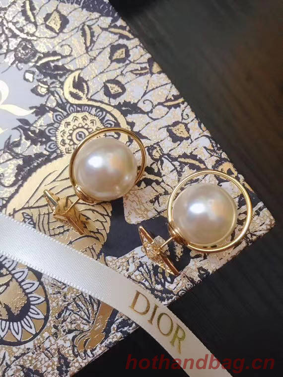 Dior Earrings CE4896