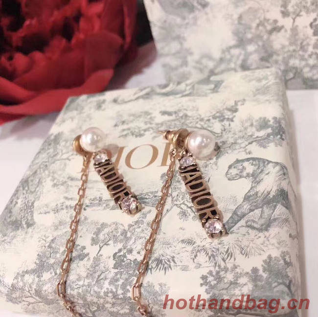 Dior Earrings CE4897