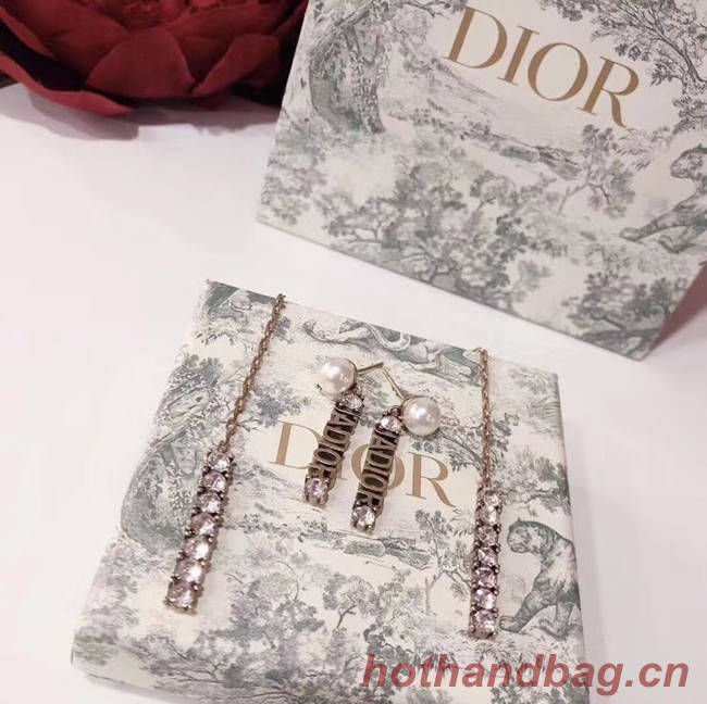 Dior Earrings CE4897