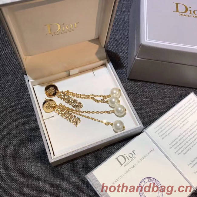 Dior Earrings CE4909