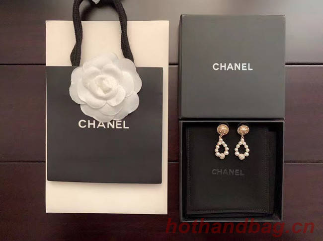 Chanel Earrings CE4953