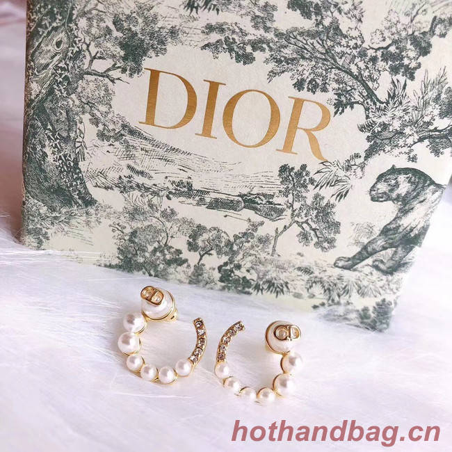 Dior Earrings CE5026