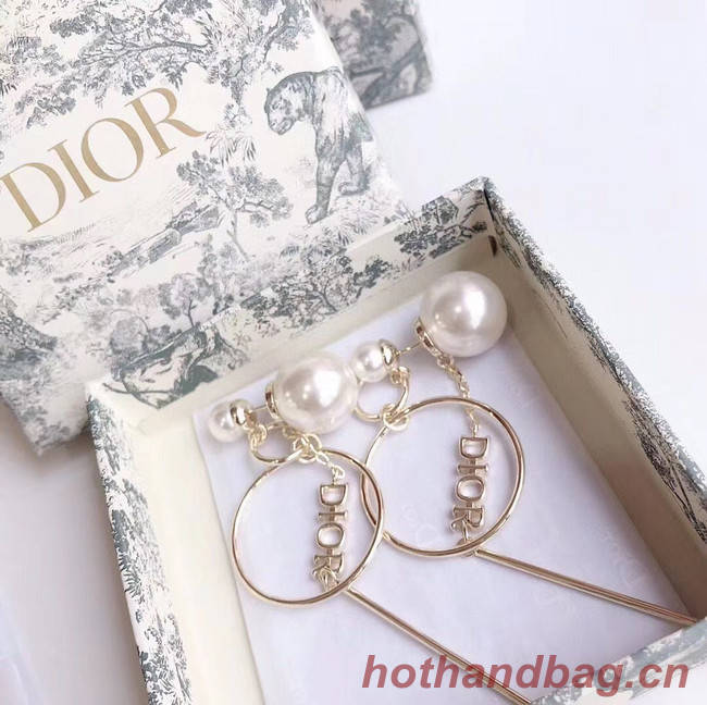 Dior Earrings CE5027