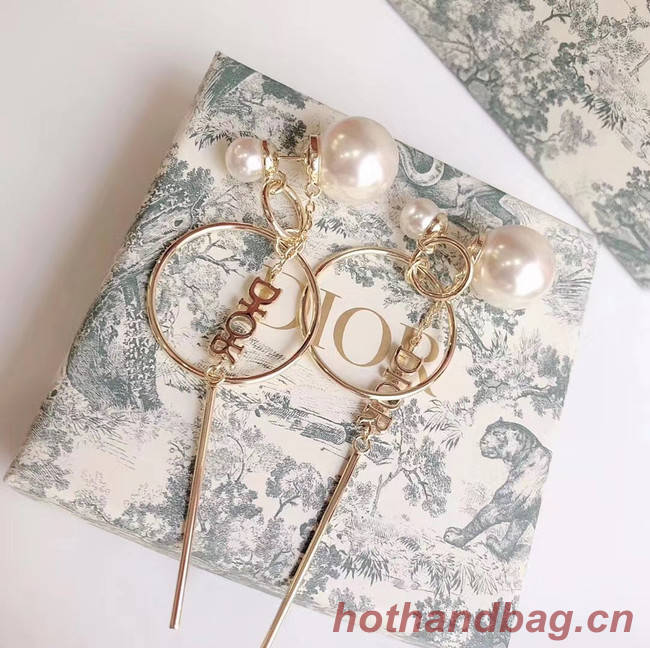 Dior Earrings CE5027