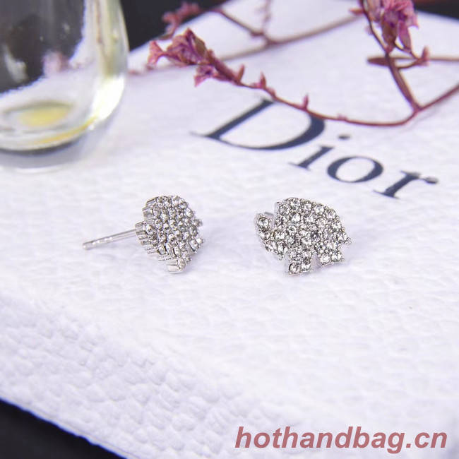 Dior Earrings CE5030