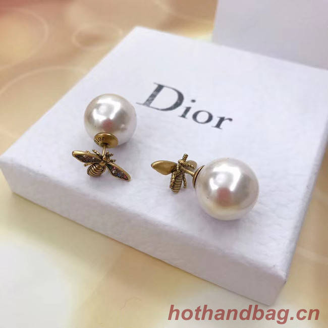 Dior Earrings CE5136