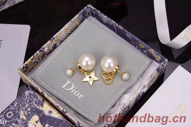 Dior Earrings CE5154