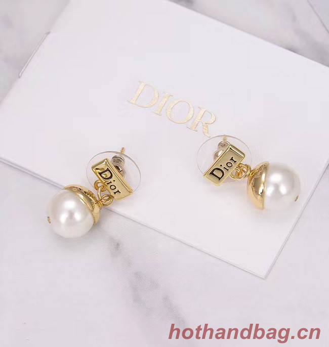 Dior Earrings CE5159