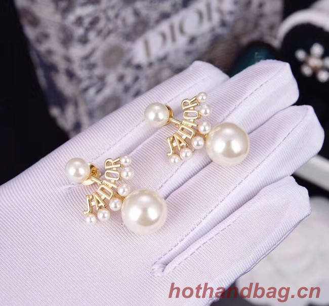 Dior Earrings CE5229