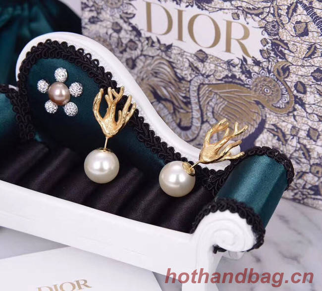 Dior Earrings CE5437