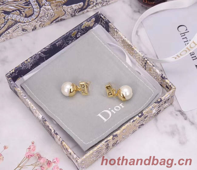 Dior Earrings CE5444