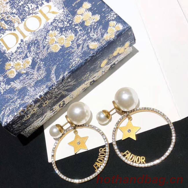 Dior Earrings CE5454