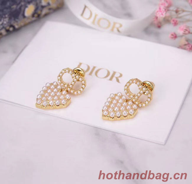 Dior Earrings CE5455