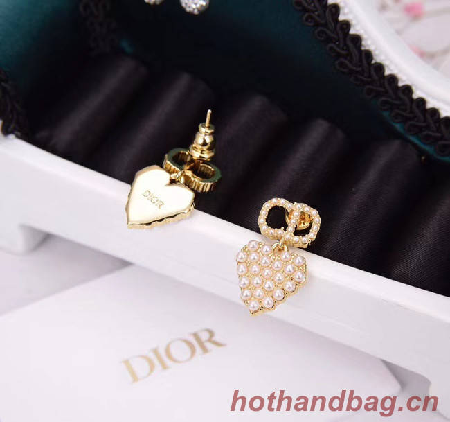 Dior Earrings CE5455