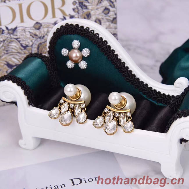 Dior Earrings CE5456