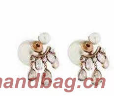 Dior Earrings CE5456