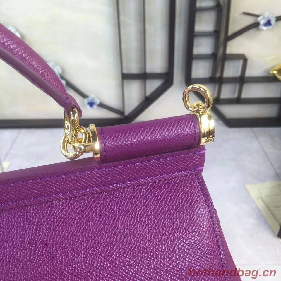 Dolce & Gabbana Origianl Leather 4138 Large violet