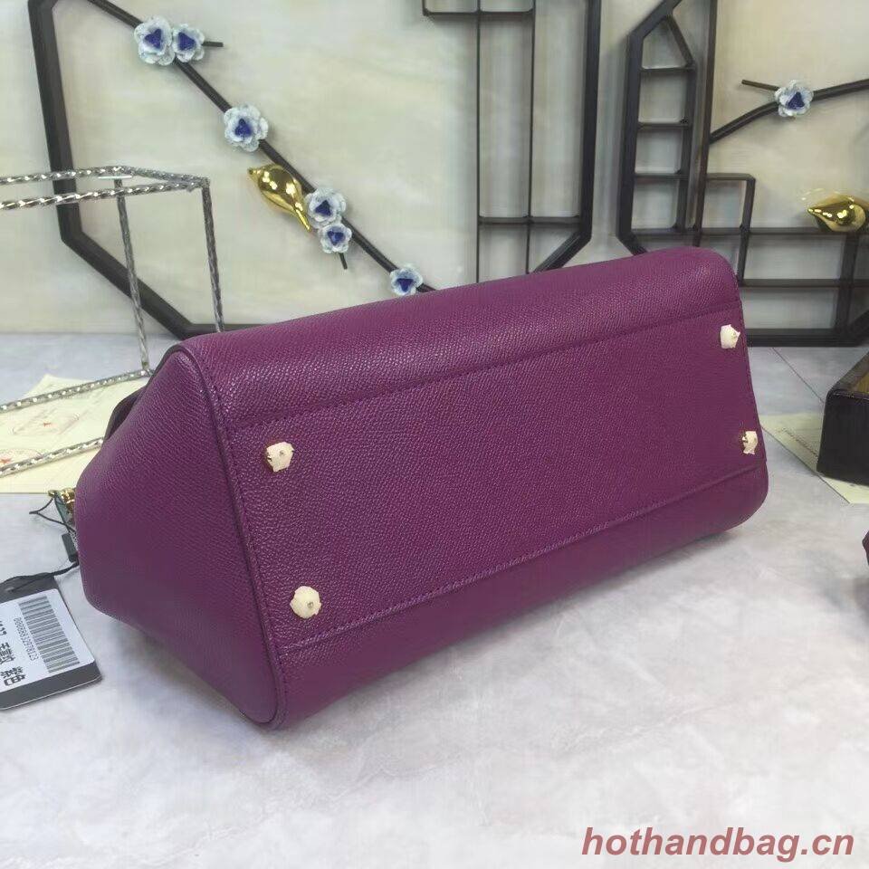 Dolce & Gabbana Origianl Leather 4138 Large violet