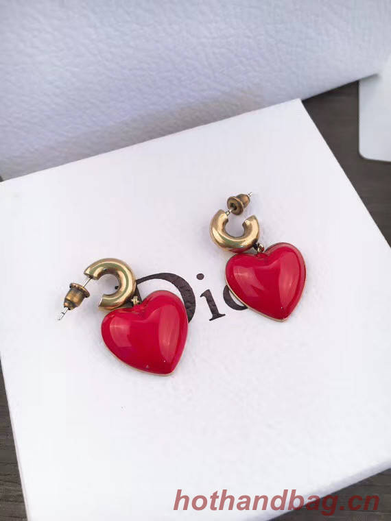 Dior Earrings CE5564