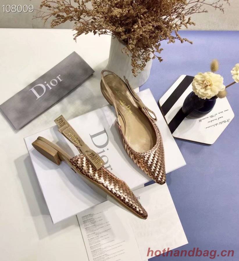 Dior Shoes Dior691-3