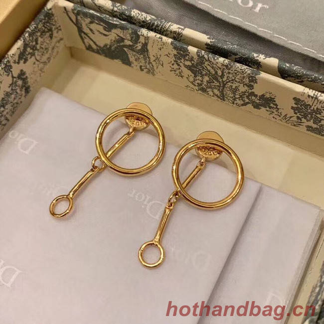 Dior Earrings CE5746