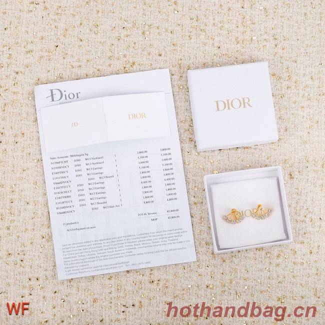 Dior Earrings CE5749