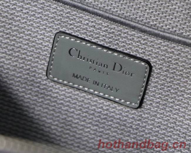 Dior Oblique Embroidered DIORTRAVEL VANITY CASE S5480  grey