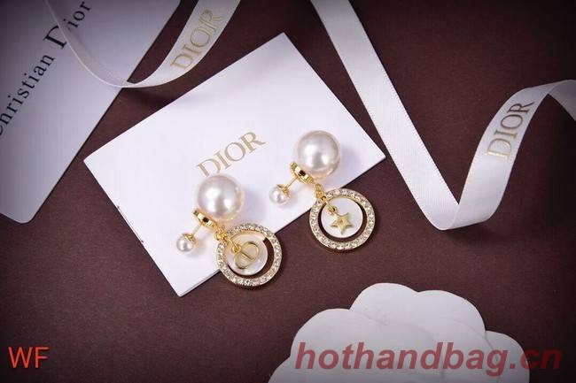 Dior Earrings CE5828