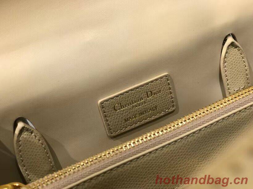 DIOR LARGE ST HONORE TOTE Grained Calfskin M9306UBAE apricot